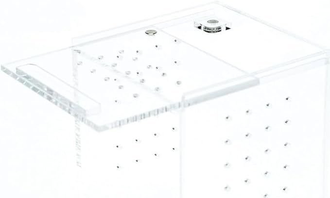 Acrylic Terrarium – Magnetic Mini & Nano Enclosures for Reptiles, Amphibians, Invertebrates, Tarantulas, Scorpions, Frogs, Geckos & Exotic Pets (3 x 3 x 6 inches, 0.23 Gallon)