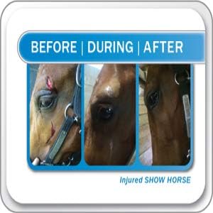 Liquid Bandage, 2 Pack Spray on Wound Care for Horses, Livestock, Large Animal First Aid, Woman Owned Small Business