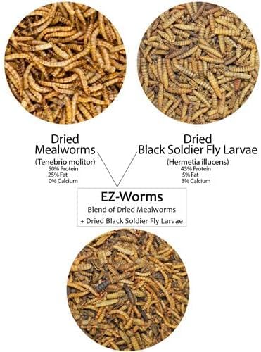 EZ Worms (20 lb.) - Blend of Dried Mealworms & Black Soldier Fly Larvae (BSFL) - Healthy Insect Treat - Chickens, Bluebirds, Sugar Gliders, Hedgehogs, Squirrels, Skunks, Reptiles, Turtles, Fish