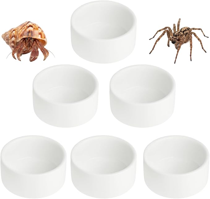 6 Pcs Spider Micro Ceramic Water Bowl, Mini Pet Dish for Spider Tarantula Scorpion Millipede Hermit Crab Tiny Reptile (1 oz)