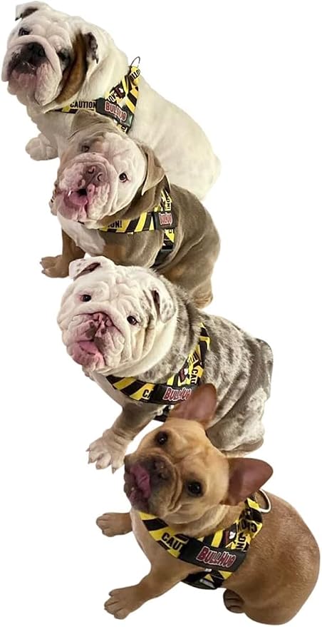 Adjustable Dog Harness– No Pull, No Choke – for English Bulldogs, French Bulldogs, Pugs & Broad-Chested Breeds – Easy, Safe Walks (Caution, Small)