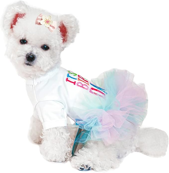 ANIAC Girl Dog Birthday Tutu Dresses Puppy Lace Skirt and Hairpin Cat Birthday Princess Dress Pet Clothes for Cats Small Dogs (Medium, White)
