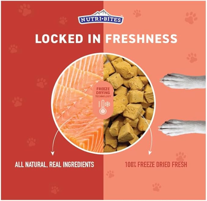 Nutri Bites Freeze Dried Salmon Dog & Cat Treats, 14oz | Healthy Pet Training Treats or Food Topper | All Natural, 1 Single Animal Protein, High Protein