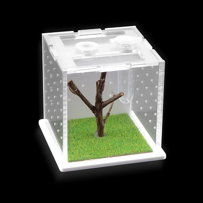 Spider Acrylic Breeding Box, Tarantula Transparent Terrarium, Jumping Spider Feeding Box, Insect Habitat Hatching Container Cage
