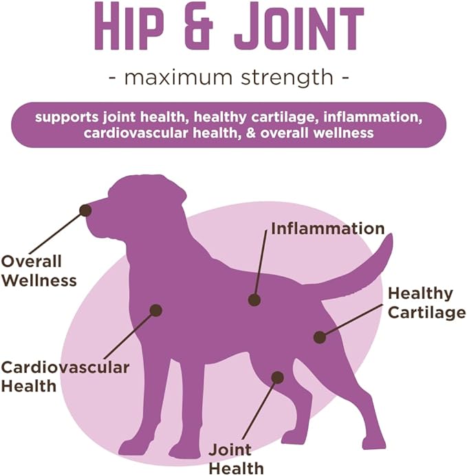 Dr. Joseph's VetPro Complete Dog Hip & Joint Supplement for Arthritis Pain Relief – High-Strength Glucosamine & Chondroitin Chews for Senior Dogs – Vet Formulated, Peanut Butter Flavor, 120 Ct