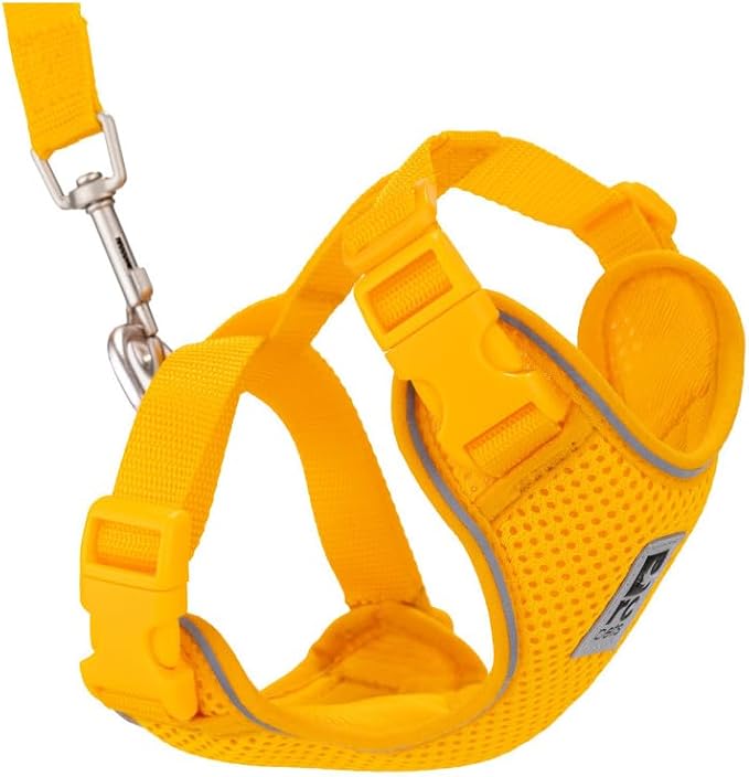 RC Pets Adventure Kitty Cat Harness | Adjustable Airmesh Vest with D-Ring and 6ft Leash for Walking and Travel | Marigold, Small