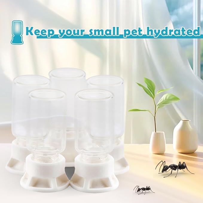 5 Pcs Jumping Spider Ant Water Feeder Bee Plastic Water Feeding Tarantula Water Bowl Spider Feeder (Capacity: 20ml)