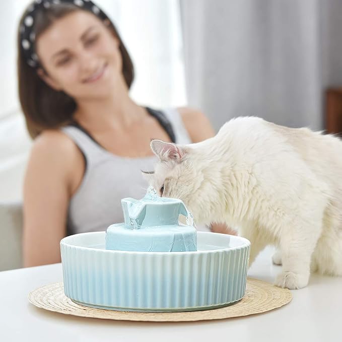 360 Ceramic Pet Fountain, Advanced Porcelain Cat Water Fountain, 70 oz.Drinking Fountains Bowl for Cat and Dogs with Replacement Filters and Foam (Green Blue)