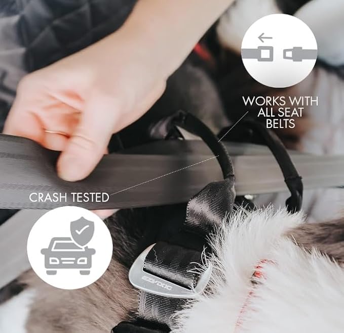EzyDog Drive Dog Car Harness, Crash Tested and Certified - Medium | US-FMVSS 213 Certified Dog Seat Belt Harness, Adjustable, Padded Comfort Chest Plate, Dual Metal SR Buckles