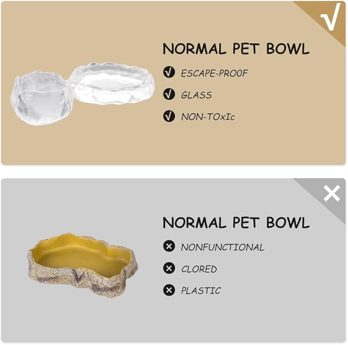 2 Pack Reptile Food Dish and Drinking Bowl Small Food Dish Terrarium Feeder for Small Reptile Lizard Gecko Spider Cricket Baby Bearded Dragon Hermit Crab Snail Turtle
