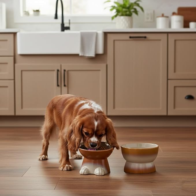 Nihow Dog Food & Water Bowls: Elevated Ceramic Bowls for Medium/Small Dog | Food Safe Raised Puppy Bowls - Brown Pet Bowl for Protecting Pet's Spine (Set of 2)