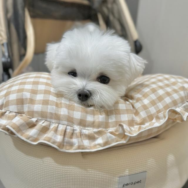 MOM N POP Pet Nap Pillow – Washable Gingham Check Cushion for Dogs & Cats, Soft Neck Support Bed (Beige/Blue) (Blue)
