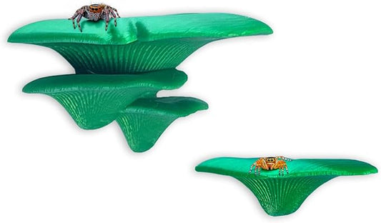 Jumping Spider Mushroom Shelf, Magnetically Concealed Jumping Spider Habitat,Serves As Enclosure Decorate Accessories for Spider Climbing Feeding and Platforms (Green)