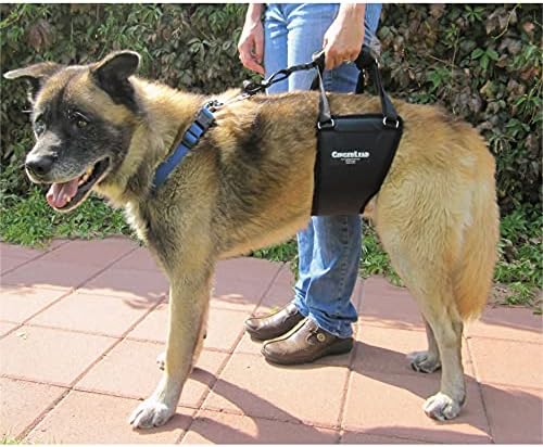 Dog Support Harness, Rear End Lift Sling, Tall Male, Made in USA | Fits Tall, Lean Dogs like Greyhounds or Great Danes, Padded Mobility Aid, Help Pets Walk or Balance, Machine Wash & Dry