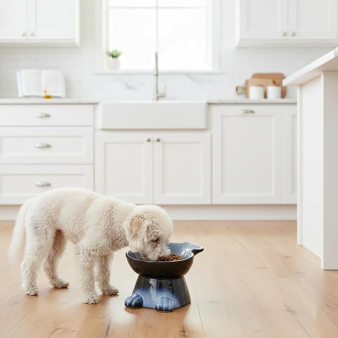 Nihow Elevated Ceramic Dog Bowls: 6.5 Inch Raised Dog Bowl for Food & Water | Food Safe Bowl for Medium/Small Size Dogs - Gray Puppy Bowls for Protecting Pet's Spine(1 PC)