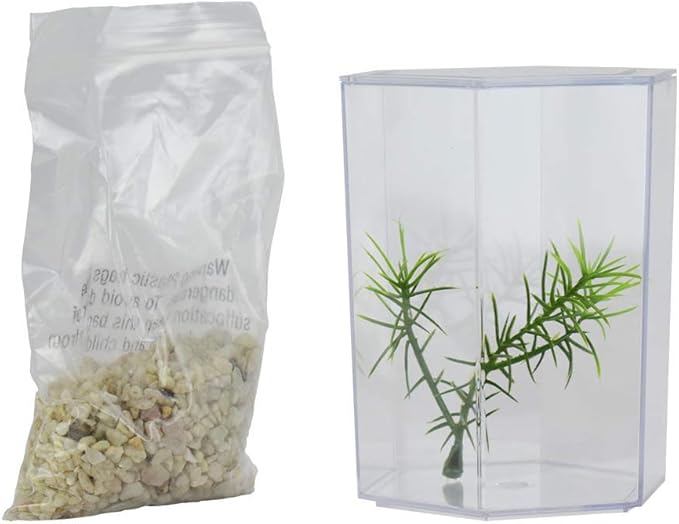 Lee's Betta Keeper with Lid, Gravel and Plant - Small