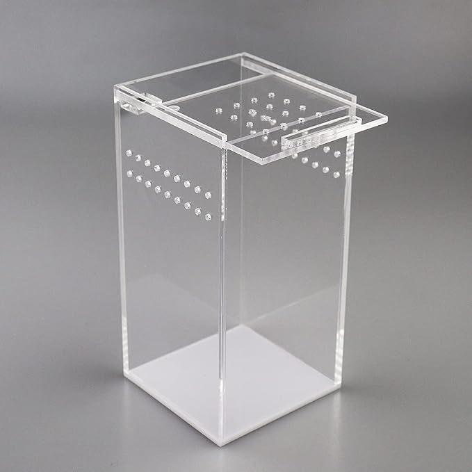 NANEEZOO Magnetic Acrylic Case, 2.9x2.9x6 Inch Nano Arboreal Tarantula Enclosure Reptile Habitat Terrarium Breeding Box for Spider Scorpion Sling Isopods Lizards Invertebrates Insect Mantis