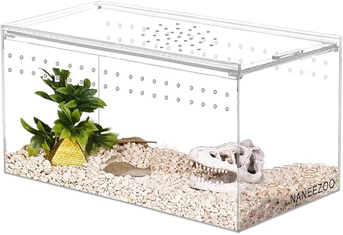 NANEEZOO Magnetic Acrylic Reptile Terrarium Enclosure, 8" x 4" x 4" Reptile Insect Breeding Box for Small Reptiles, Invertebrates, Mantis, Spider, Cricket, Tarantula