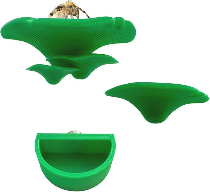 2 Pack Jumping Spider Accessories Mushroom Ledges & 1 Pack Water Bowl with Magnets for Spoods Jumping Spiders Magnetic Ledge Ladder Pet Spider Accessories