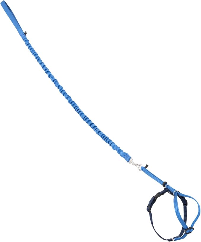 PetSafe Come with Me Kitty Harness and Bungee Cat Leash, Royal Blue, Medium | Adjustable 2-Point Fit Applies Gentle Pressure to Shoulders, Not Neck, for Small & Average Cats with 10.5 in - 14 in Girth