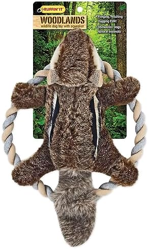 RUFFIN' IT Rhode Island Textile Woodlands Chipmunk Plush Dog Toy with Rope Chew Ring, Mutli, 8.5 inch (Pack of 1), All Breed Sizes