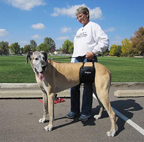 Dog Sling Hip Lift Support Harness, Tall Female, Made in USA | Fits Tall, Lean Dogs like Greyhounds or Great Danes, Padded Mobility Aid, Help Pets Walk or Balance, Machine Wash & Dry