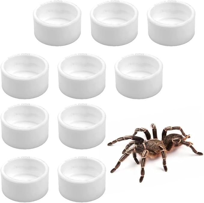10 Pcs Spider Micro Water Bowl Tarantula Plastic Dish for Tarantula Spider Scorpion Cricket Snail Manti Millipede Tiny Bugs (White)