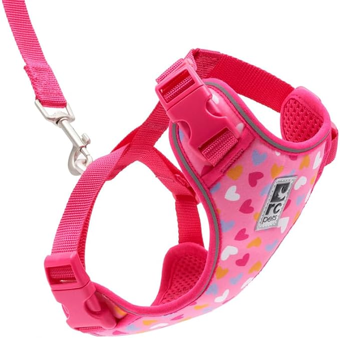 RC Pets Adventure Kitty Cat Harness | Adjustable Airmesh Vest with D-Ring and 6ft Leash for Walking and Travel | Lil Heart, Small