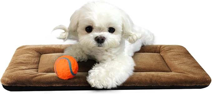 Dog Crate Pad Washable Dog Bed for Crate Small Cozy Mat 22-Inch Brown | Ultra Soft Kennel Pad,Anti-Slip Bottom,Fits for Most Metal Crates,Comfortable Sleeping Pet Mat