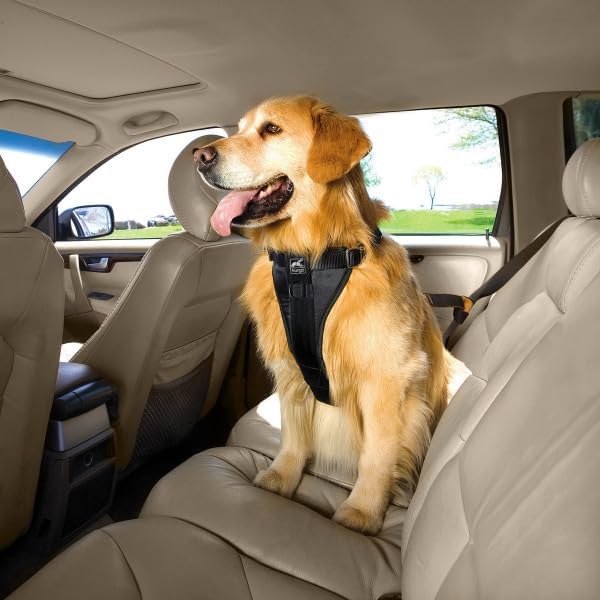 Kurgo Enhanced Strength Tru-Fit Smart Harness, Black, Medium | Crash Tested Car Harness for Dogs up to 75Lbs, Seatbelt Tether & Steel Carabiner, All-Steel Buckles, Padded Chest for Comfort
