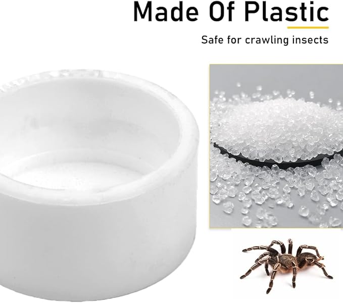 10 Pcs Spider Micro Water Bowl Tarantula Plastic Dish for Tarantula Spider Scorpion Cricket Snail Manti Millipede Tiny Bugs (White)