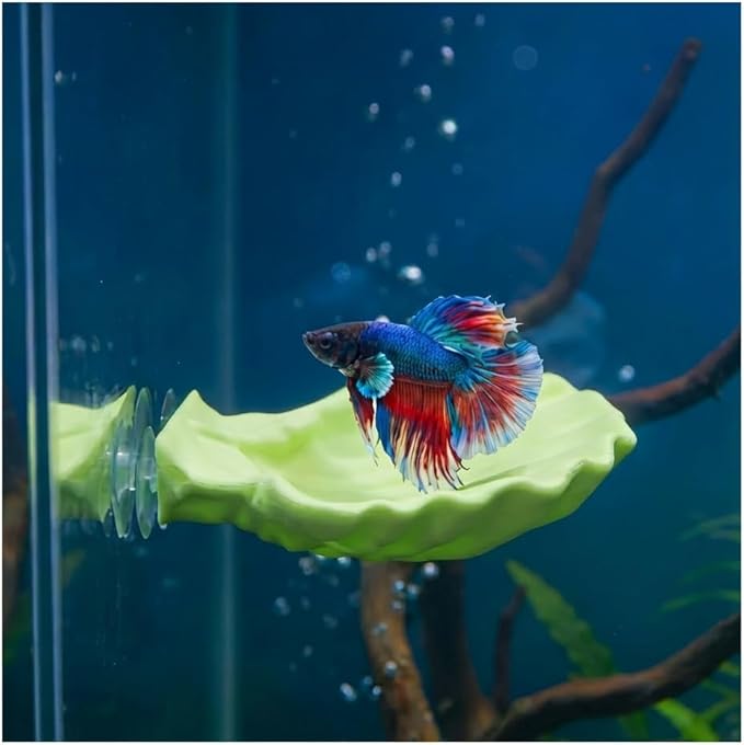 Betta Fish Hammock, Shell Pad with Strong Suction Cup Natural Resting Bed for Bettas Soft Fin-Safe Betta Fish Tank Decor and Accessories (Green Medium)