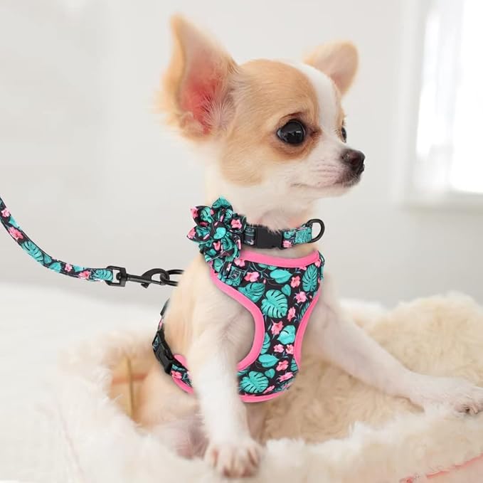 Beirui Cute Dog Collars,Harnesses,Leashes Set, Floral Pattern, Green,XXS | Girl Dog Harness Set with Flower, Adjustable and Soft Mesh Lining, For Puppies Small & Extra Small Dogs Daily Walks
