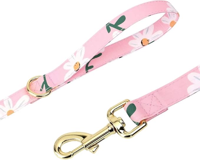 Beirui Cute Dog Collars,Harnesses,Leashes Set, Floral Pattern, Pink-1,M | Girl Dog Harness Set with Flower, Adjustable and Soft Mesh Lining, For Medium Dogs Daily Walks
