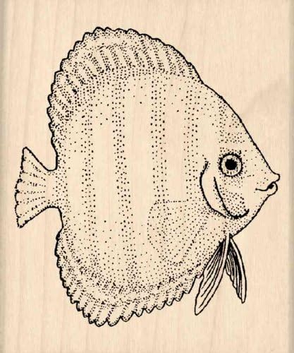 Stamps by Impression Discus Fish Rubber Stamp