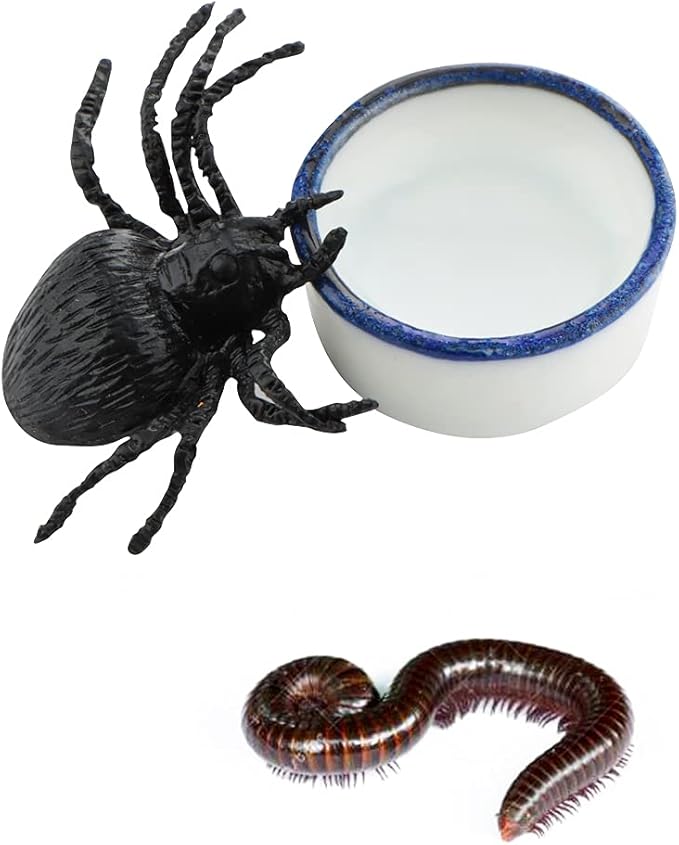 9 Pcs Spider Micro Water Bowl Tarantula Mini Ceramic Dish for Tarantula Spider Millipede Tiny Bugs (Small Size: 0.86" D, 0.43" H)