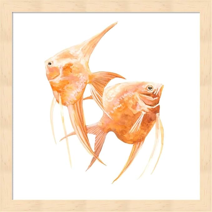 Discus Fish I & III by Emma Scarvey, 2 Piece Natural Framed Art Set, 13 X 13 Inches Each, Sea Life Art