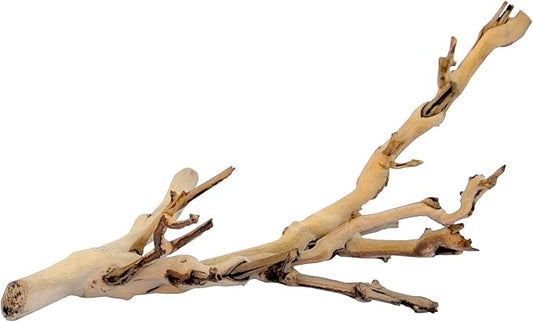 Exo Terra Forest Branch Small – Natural Wood Terrarium Decoration for Reptiles, Amphibians & Small Pets