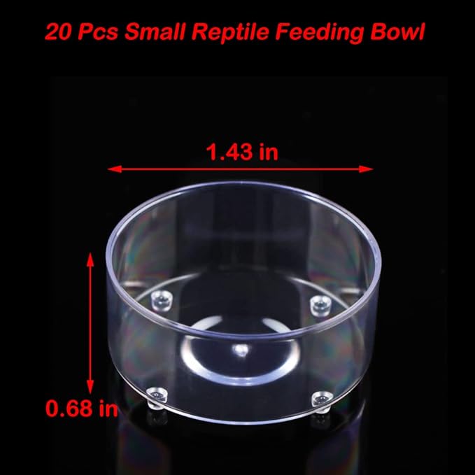20 Pcs Small Reptile Feeding Bowl Plastic Water Bowl Food Dish for Spider Tarantula Small Reptile Lizard Gecko (Small: 1.43" D, 0.68" H)