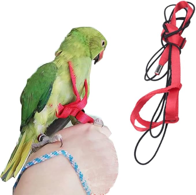 Adjustable Birds Harness and Leash Parrot Harness Leash Training Supplies Pet Anti-bite Outdoor Flying Rope for Conures Budgerigar Lovebird Cockatiel Mynah (M, Red)