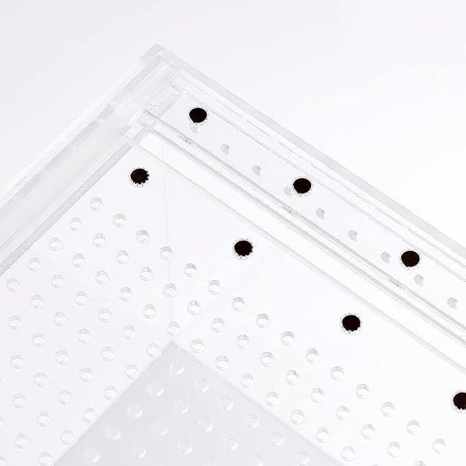 NANEEZOO Magnetic Large Enclosure 2.5 Gallon 12 x 8 x 6 Inch Reptile Breeding Box Terrarium Cage for Insect Tarantulas Amphibians Caterpillars Snail Clear Reptile Feeding Box