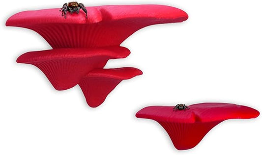 Jumping Spider Mushroom Shelf, Magnetically Concealed Jumping Spider Habitat,Serves As Enclosure Decorate Accessories for Spider Climbing Feeding and Platforms (Red)