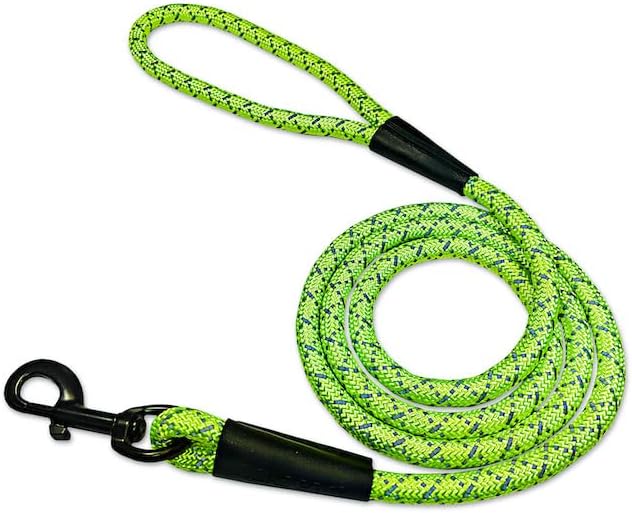 noxgear LightHound Light Up Reflective Dog Harness and Leash, Large | 360° Light Up Reflective Dog Harness, 8 Colors & 6 Modes, USB Rechargeable, Adjustable, Rainproof, LED Fiber Optic