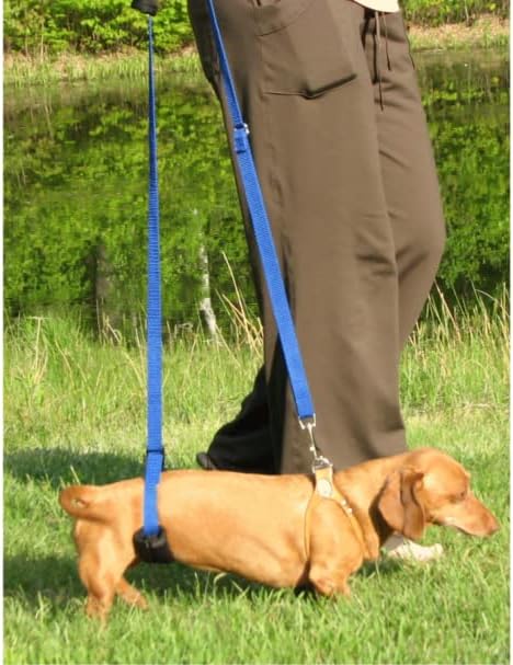 Dog Back Support IVDD Sling Harness, X-Small & Dachshunds | Fits Pets Under 25 lbs and Doxies, Walking Aid for K9s with Disc Disease, Fully Adjustable, Chest Harness NOT Included