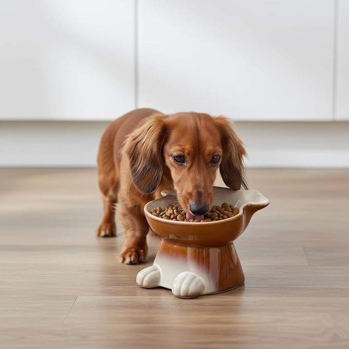 Nihow Elevated Ceramic Dog Bowls: 6.5 Inch Raised Dog Bowl for Food & Water | Food Safe Bowl for Medium/Small Size Dogs - Brown Puppy Bowls for Protecting Pet's Spine(1 PC)