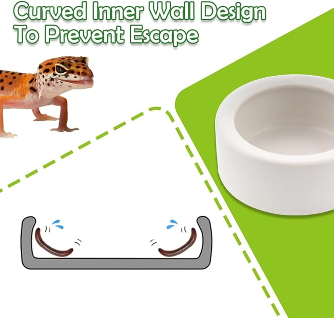3 Pack Small Reptile Feeding Bowl Ceramic Food and Water Dish for Tarantula Hermit Crab Lizard Gecko Frog Turtle Small Reptile (White)
