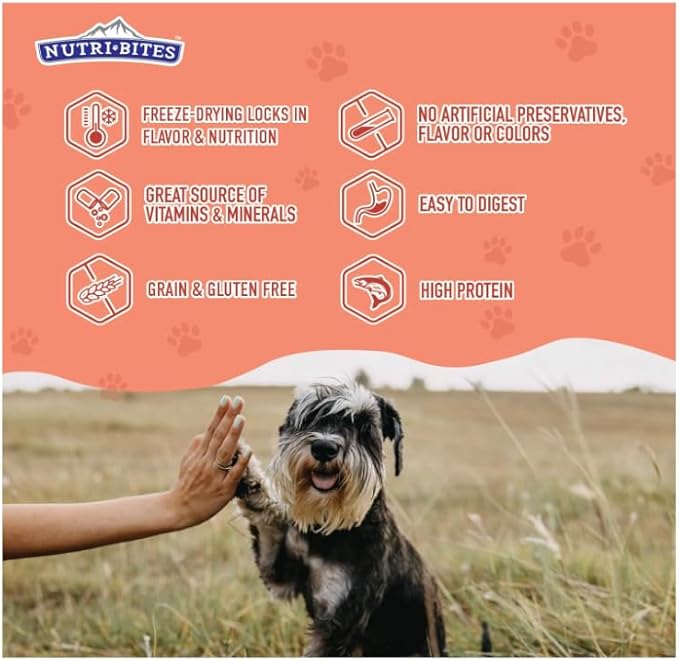 Nutri Bites Freeze Dried Salmon Dog & Cat Treats, 14oz | Healthy Pet Training Treats or Food Topper | All Natural, 1 Single Animal Protein, High Protein