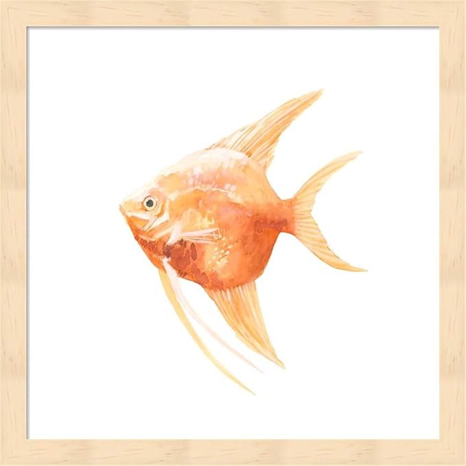 Discus Fish I & III by Emma Scarvey, 2 Piece Natural Framed Art Set, 13 X 13 Inches Each, Sea Life Art