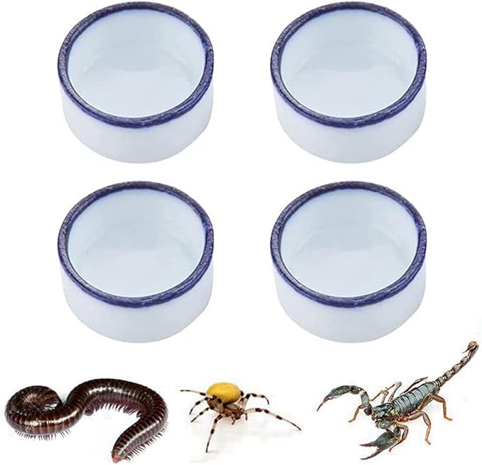 Tarantula Micro Water Bowl Spider Anti-Turnover Bowl for Small Hamster Tarantula Spider Scorpion Cricket Snail Manti Millipede Tiny Bugs Reptile Terrarium Cage Accessories (S (0.86''dia),4 Pcs)