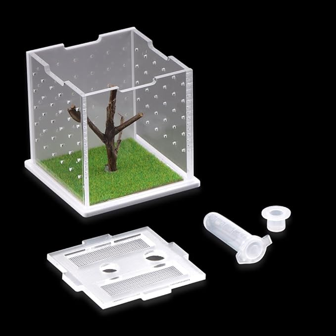 Spider Acrylic Breeding Box, Tarantula Transparent Terrarium, Jumping Spider Feeding Box, Insect Habitat Hatching Container Cage